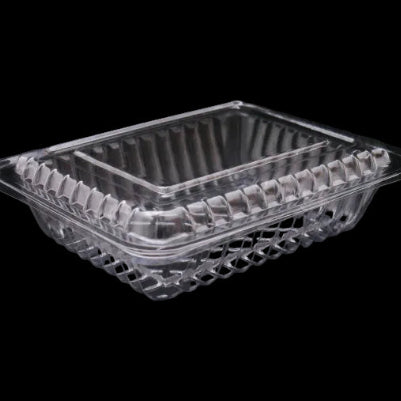 PCCS – Plastic Clear Container hinged Small 100pcs (60)