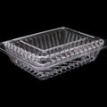 PCCS – Plastic Clear Container hinged Small 100pcs (60)