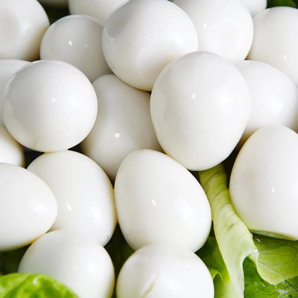 Osha Quail Eggs in water Uzura tamago 850g (12)