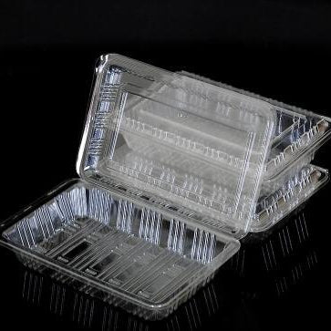 PCCL – Plastic Clear Container hinged Large 100pcs (20)