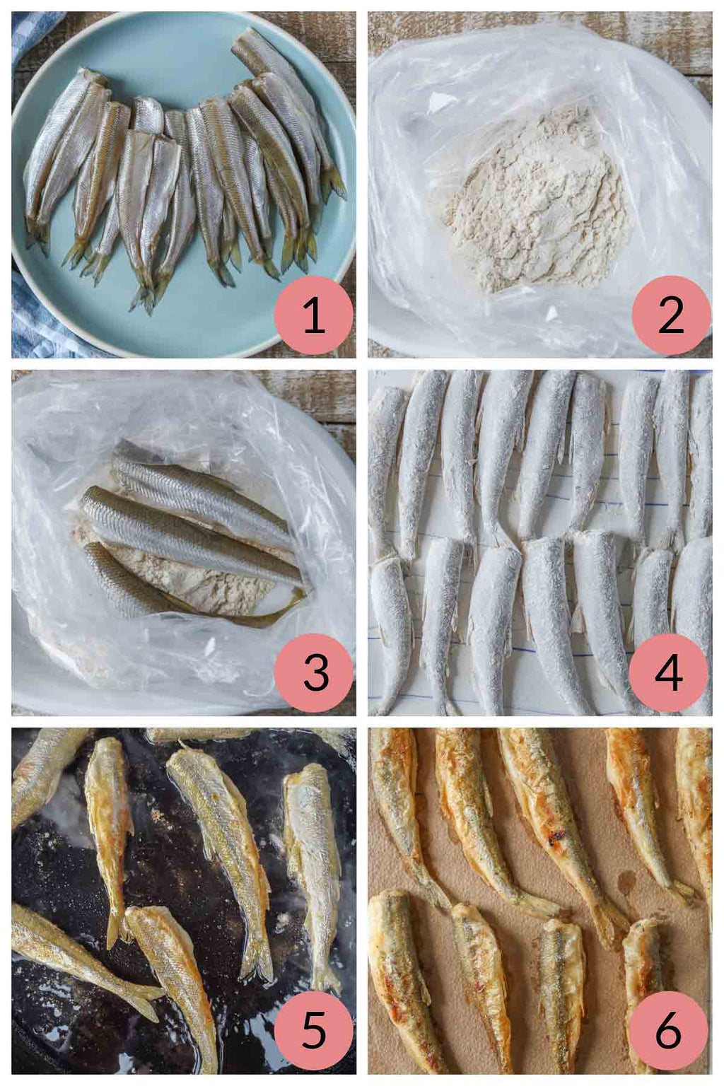 Fish With Roe SHISHAMO Capelin Fish with Roe 500g (20) – Keio trade 케이오