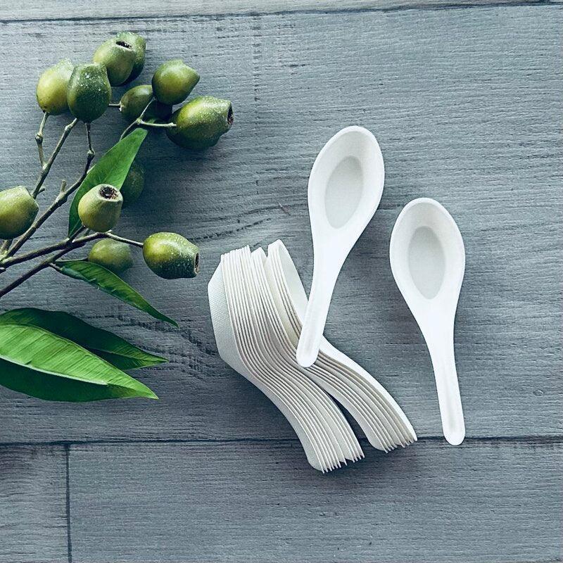 Sugarcane Chinese spoon 1000pcs (10)