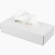 2Ply Premium Facial Tissue 100 Sheets 48 Boxes (1)